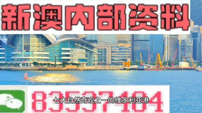 关于新澳精准资料网站的探讨，实时解答、解释与落实的重要性