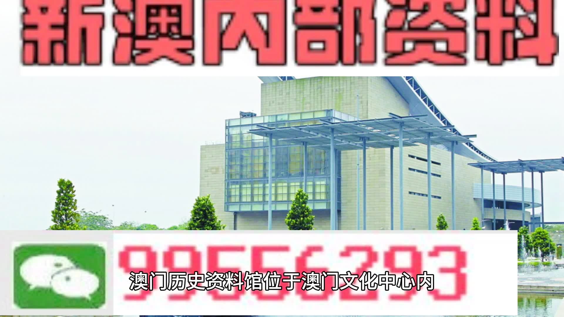 新澳门资料大全正版资料，探索与解读（XXXX年X月版）