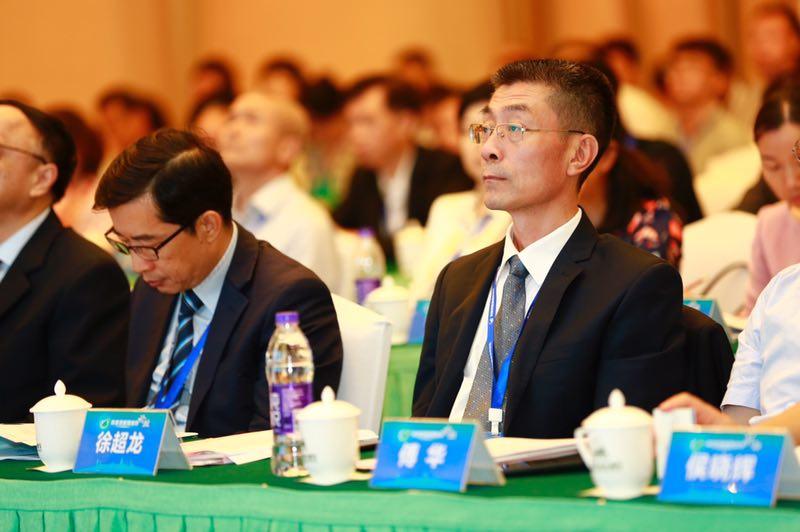 新澳门2025年正版免费公开与精选解析，落实未来的关键步骤