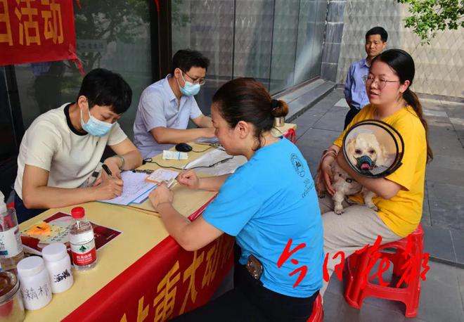 澳门正版资料大全与新时代的解答解释，落实行动的重要性
