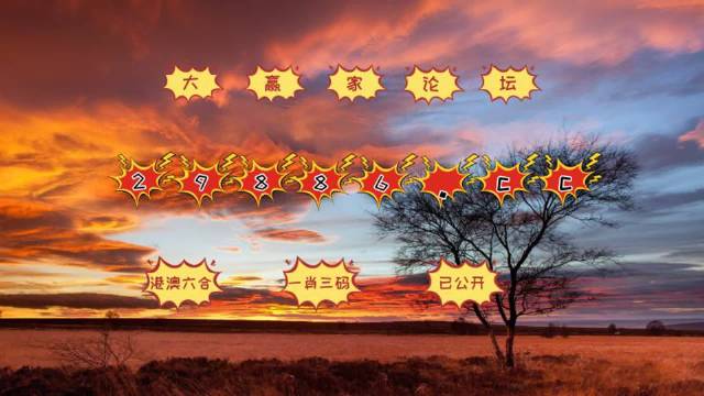 精准解读，7777788888跑狗图与落实策略解析