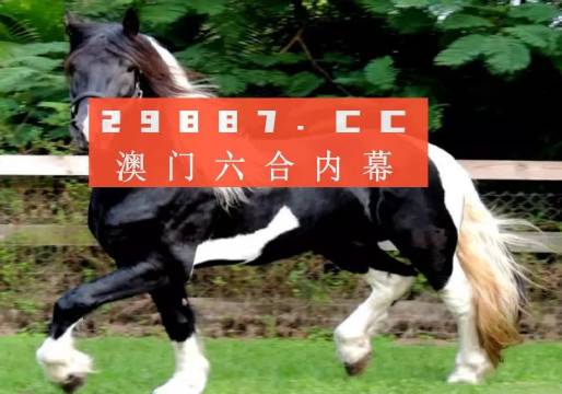 关于香港内部最准的一肖一码与实时解答解释落实的探索