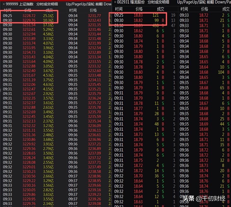 揭秘12码必中，深度解析em58.37.06的落实策略与详细解答