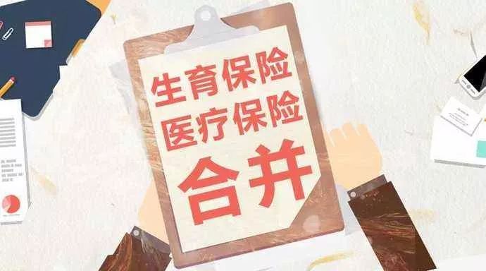 澳门今晚一肖必中特，深度解读与解释落实