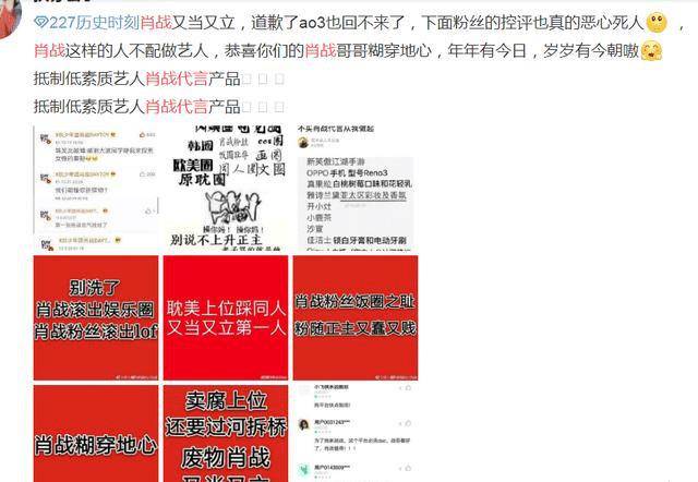 全面释义与落实，新澳门一肖中100%期期准的深度解析