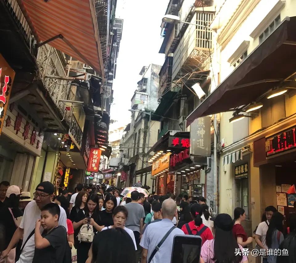澳门最快最精准免费一日游攻略，人少景美，精彩不打烊！