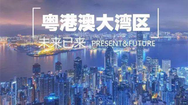 新澳门和香港正版免费实用释义、解释与落实——迈向2025年的探索与展望