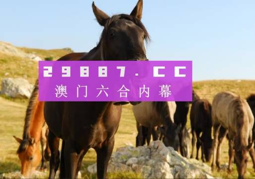 探索澳门，2023管家婆资料正版大全的独特魅力