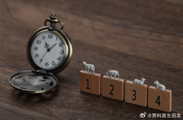 一肖一码精准，定量解答、解释与落实的重要性