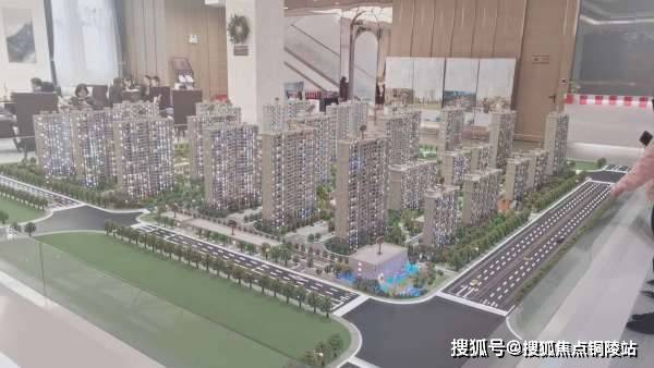 揭秘王中王三肖三码三期内必中之谜，深入解读与实际操作指南