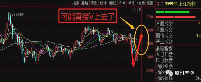 一码一肖，精准统计解答与落实的重要性