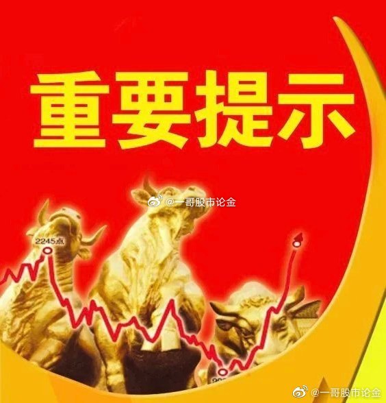 精准的一肖一码，时代解答解释落实的重要性与策略