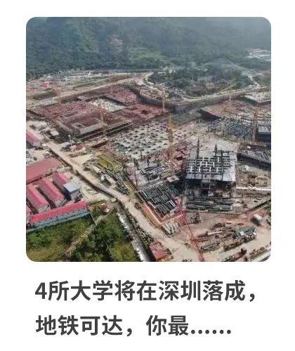 精准三肖三码三期闪必开凤凰网，实时解答解释落实之深度研究