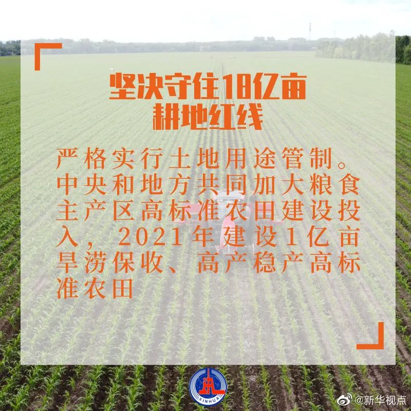 新澳门今晚必开一肖一特，全面解读与解释落实方案