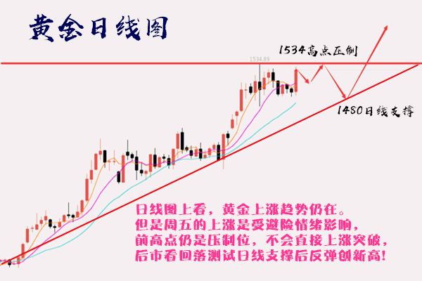 关于澳门论坛九九归一的六肖码六码统计解答解释与落实的研究报告