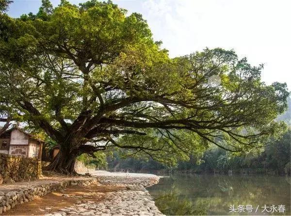 新澳门三中三必中一组热门直播内容与最新更新下载解析