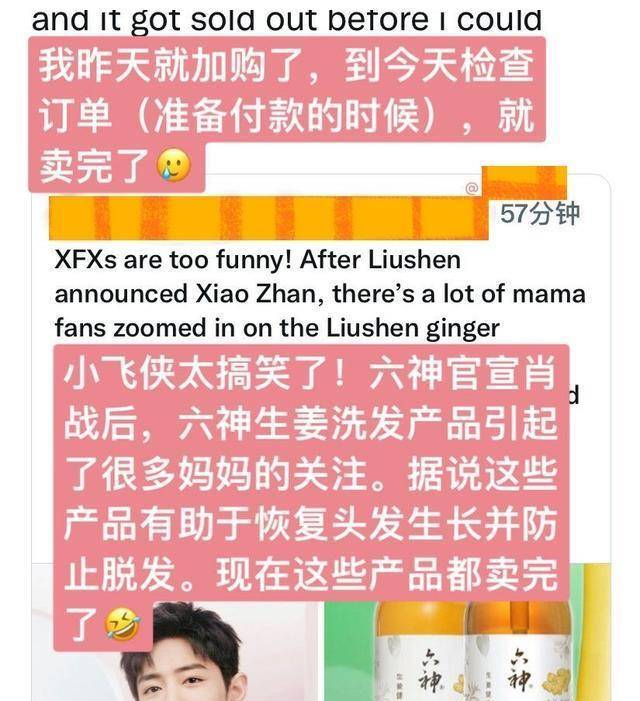 王中王一肖一特一中一，卓越品质与专业版6.73的一致好评