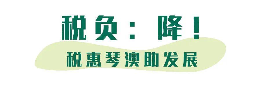 新澳门精准免费提供，全面贯彻解释落实的重要性