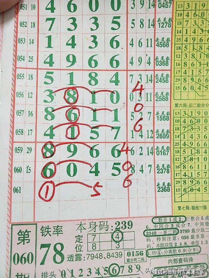 白小姐三肖三码特期期准——精准解答、解释与落实