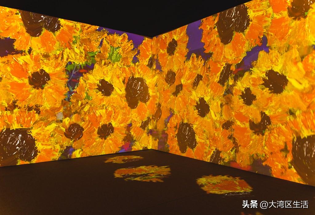 澳门一码一码精准预测，解读A07版与落实策略 p6935.15.34