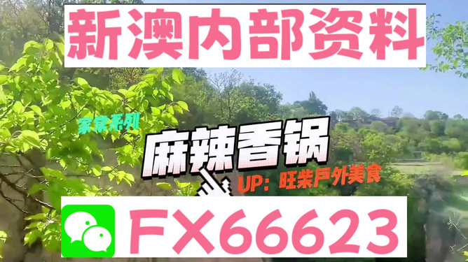 关于新澳精准资料网站实时解答与落实的探讨