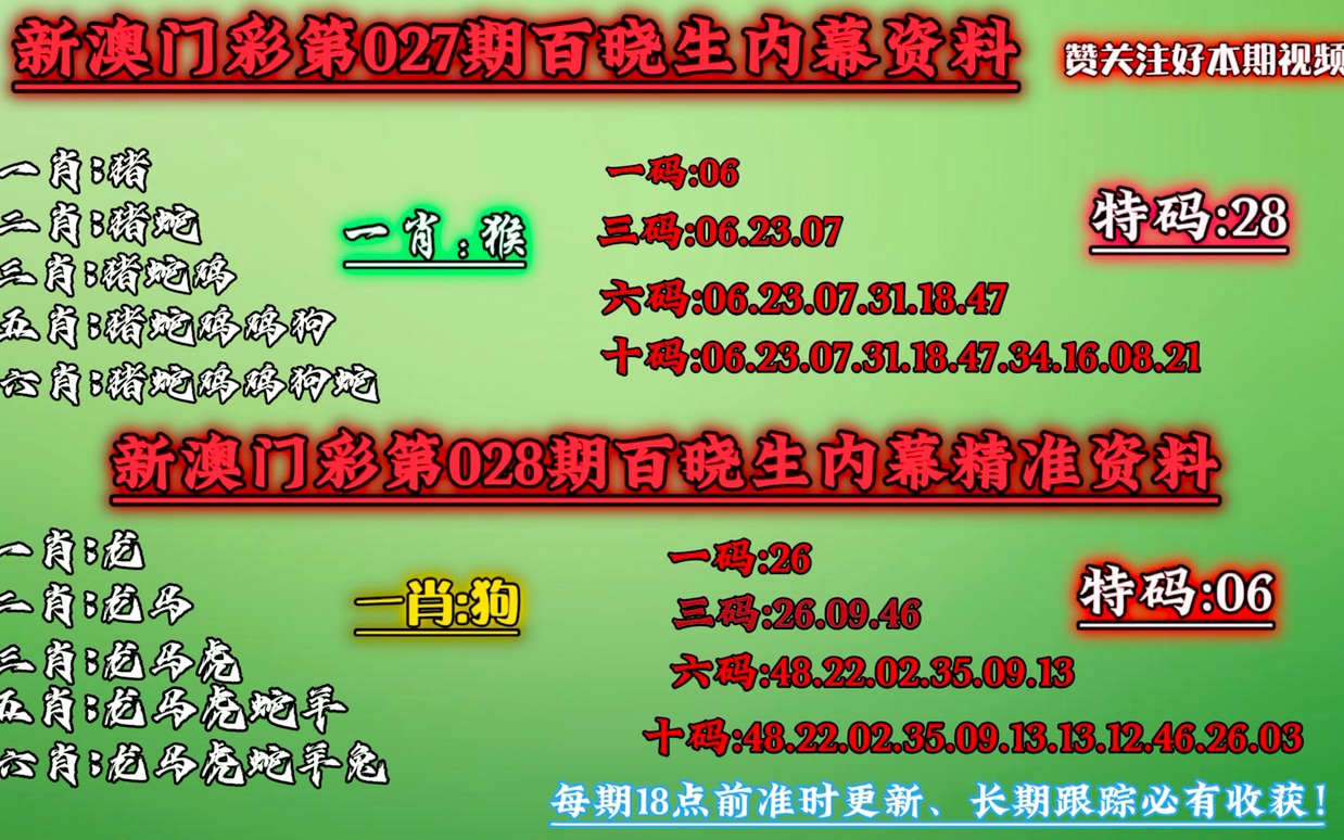 关于新澳门一肖一码的综合解答与解释