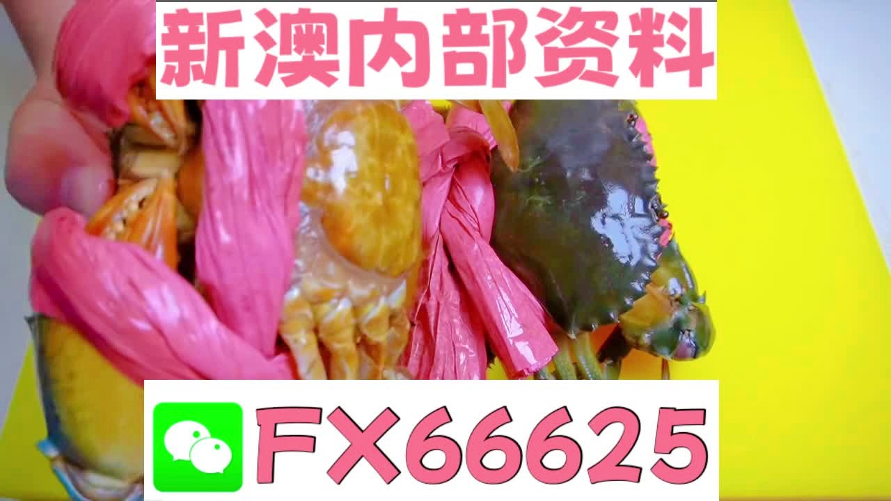 新澳精准资料大全，时代解答解释与落实的策略分析