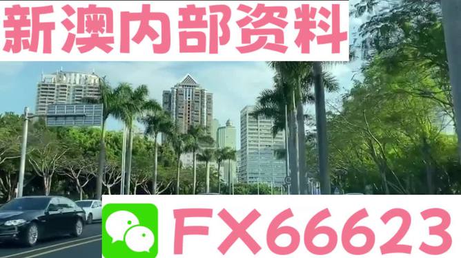 新澳精准资料免费提供网站，用心打造的精品版探索之旅