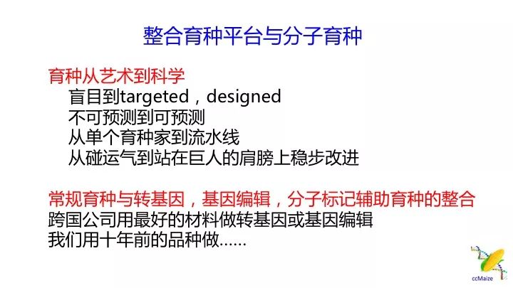 新澳2025资料大全免费与高效回顾方案——经典版15.259