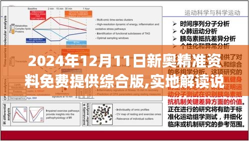 迈向2025年正版资料免费大全——精选解析与落实策略