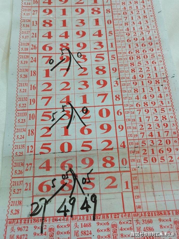 摇钱树四肖四码精准资料与专家解答解释落实——深度探讨与解析