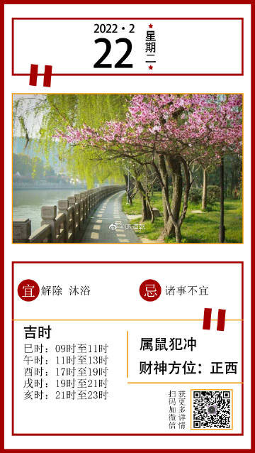 揭秘最准一肖一码，探寻真实解答与精准预测的世界