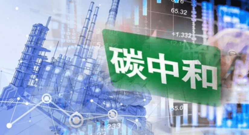 一码一肖，前沿解答与资料落实的重要性