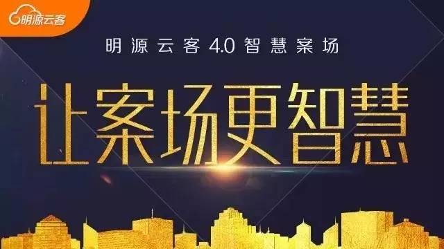澳门今晚一肖必中特，深度解读与解释落实