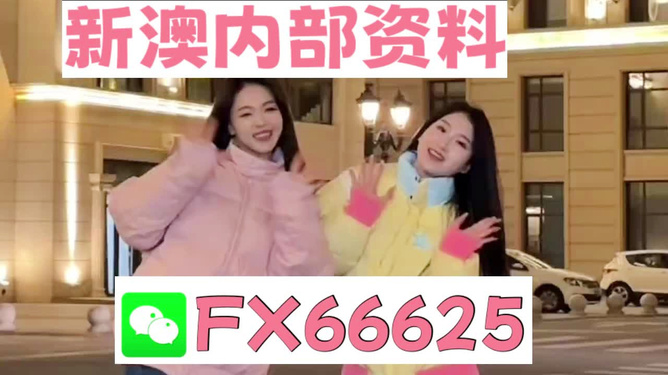 管家婆一码一肖资料大全，时代解答下的解释与落实