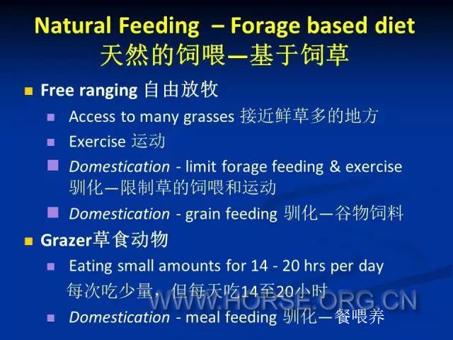关于奥门马料，科学解答与深入解释落实的探讨