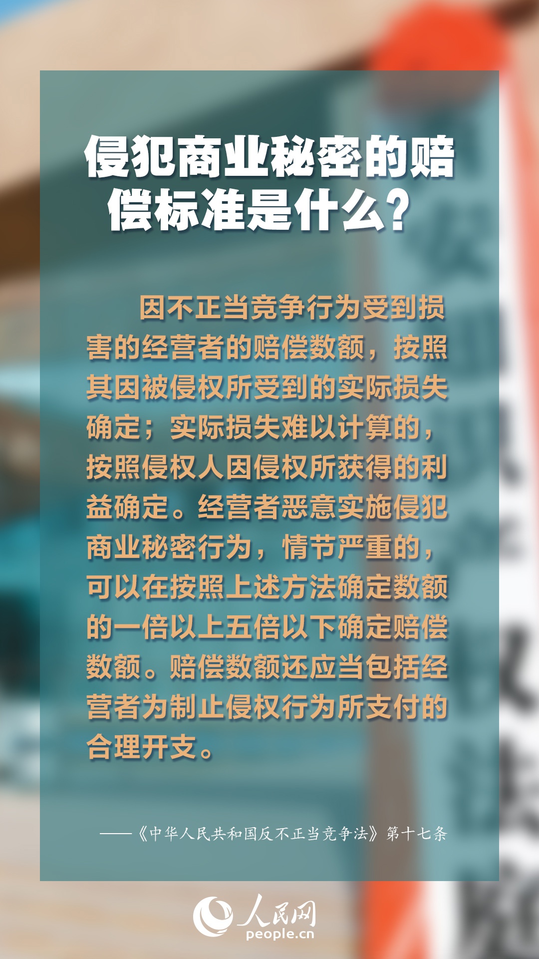 探索未来知识宝库，2025年新奥正版资料免费大全的专家解答与解释落实