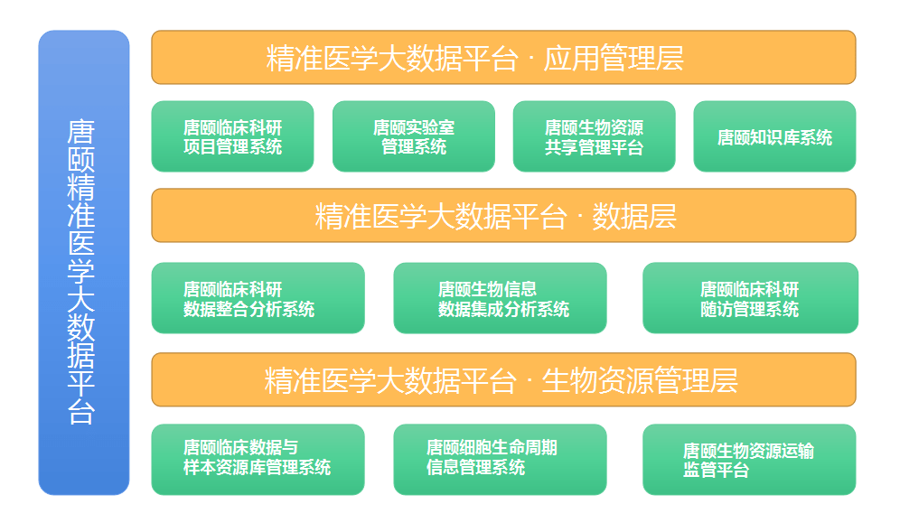 一码一肖，精准统计解答与落实的重要性