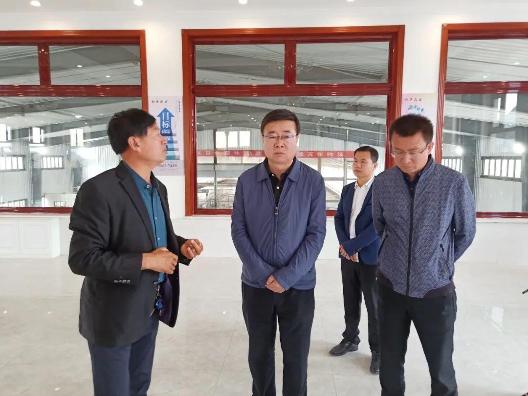 关于新澳精准免费大全的深度解答与解释落实的文章