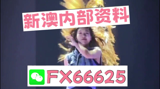 新澳门内部一码精准公开，探寻好运的秘密之旅