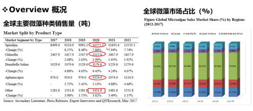 澳门一码一肖一特一中，公开性与参考价值的探讨