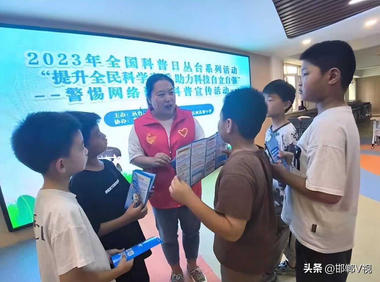 警惕虚假宣传，全面释义落实的重要性与策略分析