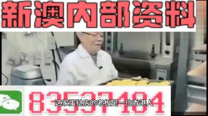 新澳精准资料免费提供，第510期深入释义、解释与落实