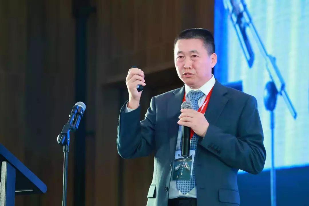 全面解读，2025新奥精准资料大全