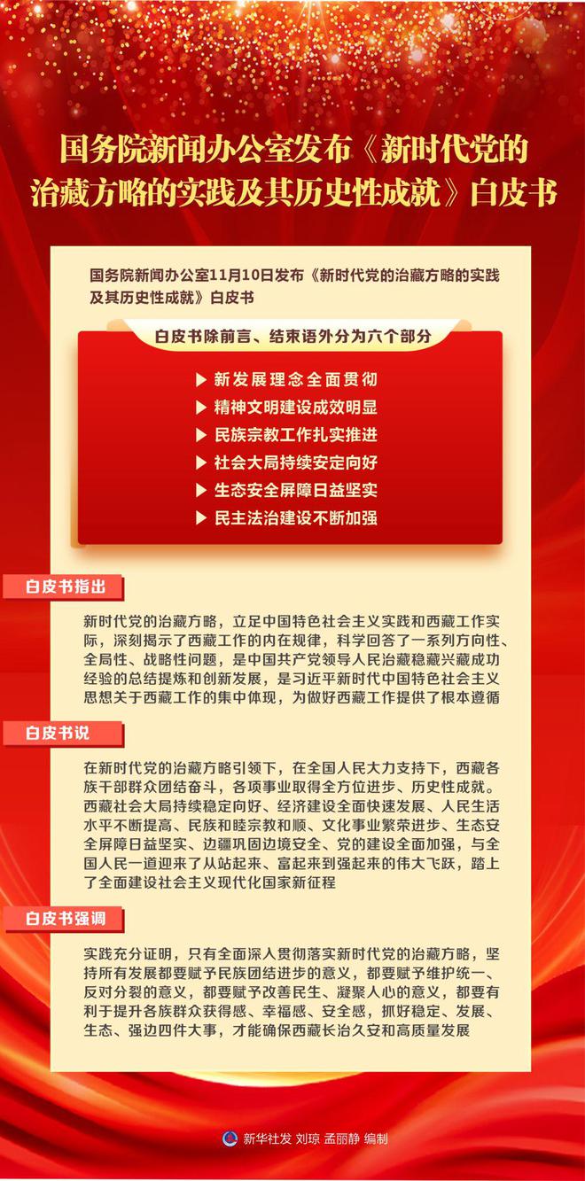 新澳2025精准正版免费资料与精选解析，落实之道
