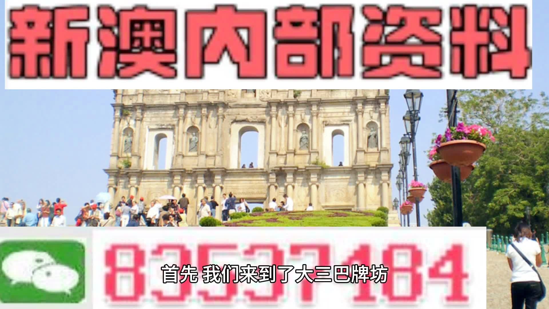 关于新澳正版免费资料与实时解答解释的探讨