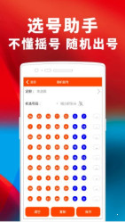 揭秘王中王三肖三码三期内必中的奥秘，深入解读与实际操作指南