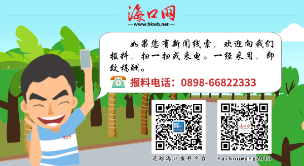 一码一肖，揭秘背后的秘密与综合解答解释落实