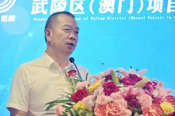 新澳门三期必开一期，全面解答、解释与落实