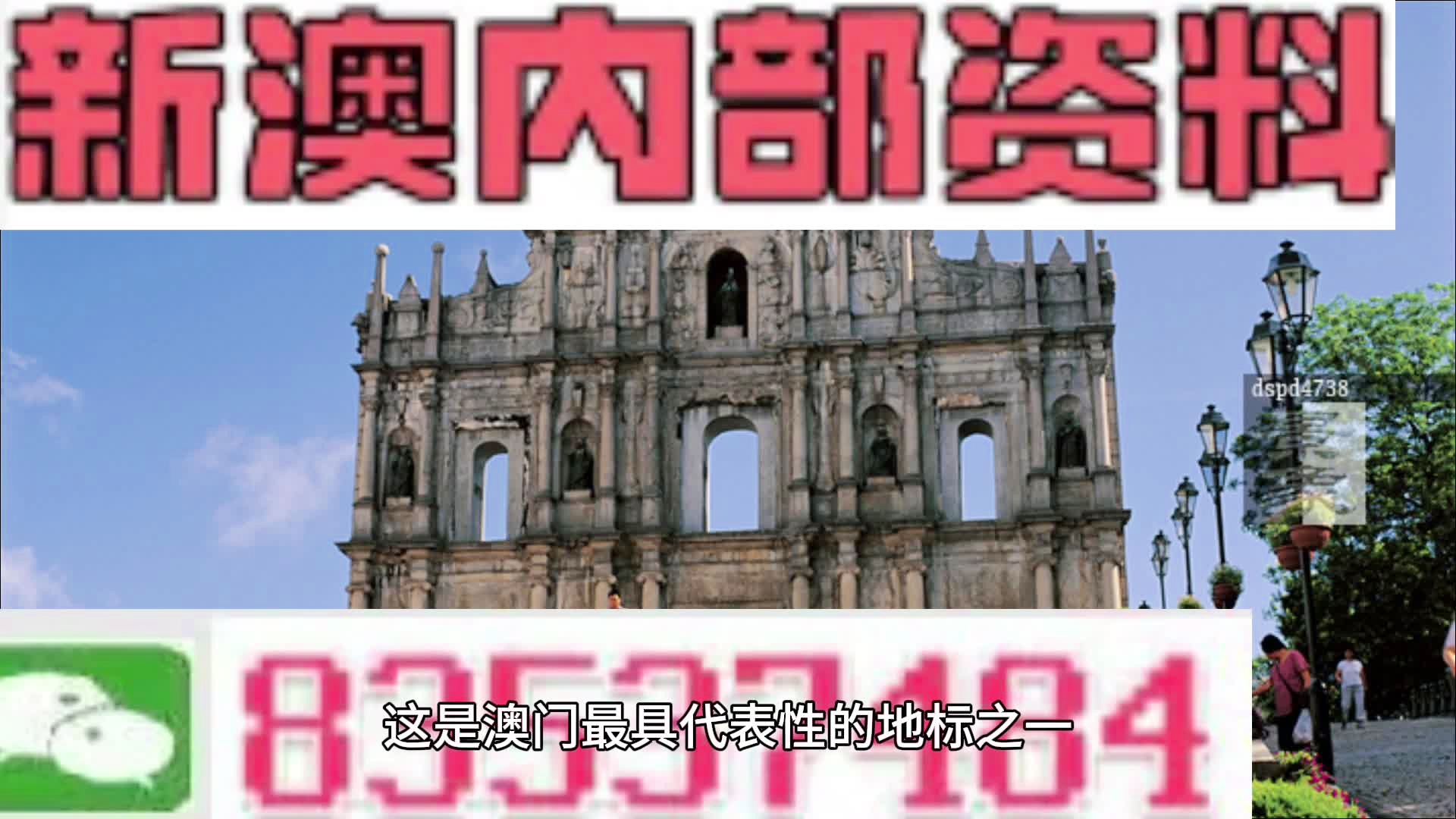 新澳门三期内必中一期，全面解答、解释与落实